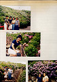 t9505 (3)_thumb.jpg